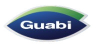 Guabi